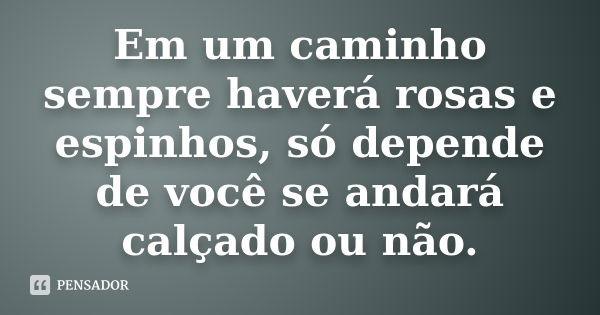 Em um caminho sempre haverá rosas e espinhos, só depende de você se andará calçado ou não.