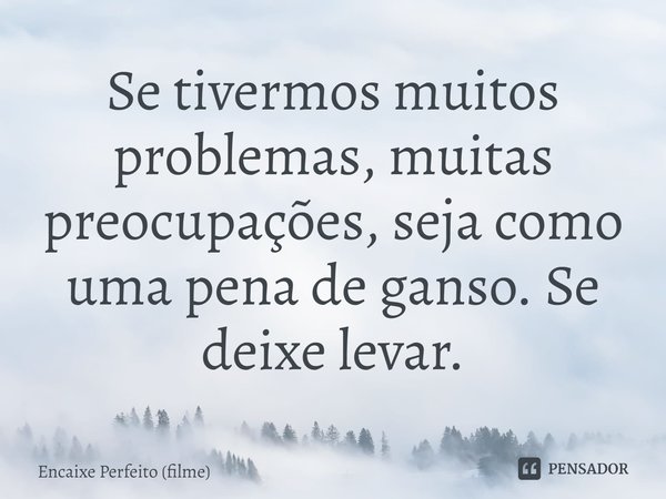 ⁠Se tivermos muitos problemas, muitas preocupações, seja como uma pena de ganso. Se deixe levar.... Frase de Encaixe Perfeito (filme).