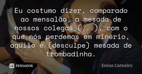 Eu costumo dizer, comparado ao mensalão, a mesada de nossos colegas (...), com o que nós perdemos em minério, aquilo é (desculpe) mesada de trombadinha.... Frase de Enéas Carneiro.