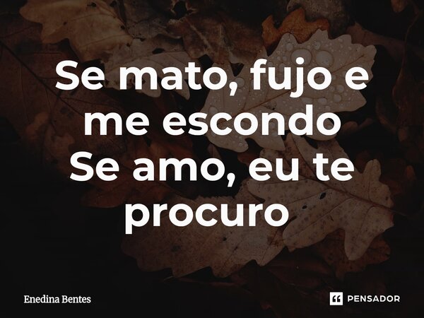 Se mato, fujo e me escondo Se amo, eu te procuro ⁠... Frase de Enedina Bentes.