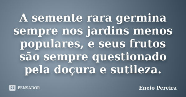 A semente rara germina sempre nos jardins menos populares, e seus frutos são sempre questionado pela doçura e sutileza.... Frase de Eneio Pereira.