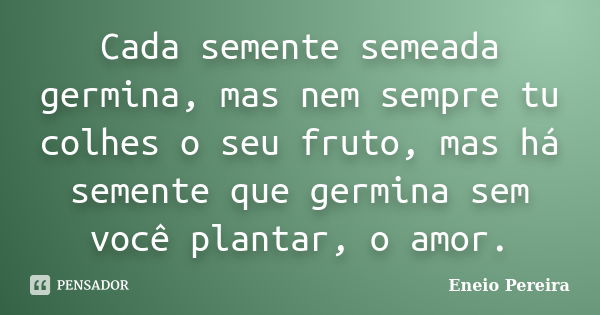 Cada semente semeada germina, mas nem sempre tu colhes o seu fruto, mas há semente que germina sem você plantar, o amor.... Frase de Eneio Pereira.