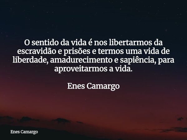 O sentido da vida é nos libertarmos da escravidão e prisões e termos uma vida de liberdade, amadurecimento e sapiência, para aproveitarmos a vida. Enes Camargo... Frase de Enes Camargo.
