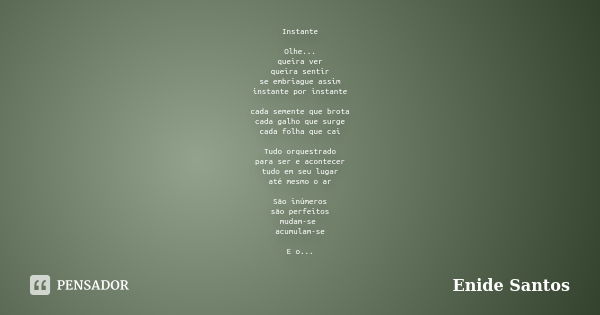 Instante Olhe... queira ver queira sentir se embriague assim instante por instante cada semente que brota cada galho que surge cada folha que cai Tudo orquestra... Frase de Enide Santos.