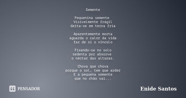 Semente Pequenina semente Visivelmente frágil deita-se em terra fria Aparentemente morta aguarda o calor da vida faz de si o vinculo Fixando-se no solo sedenta ... Frase de Enide Santos.