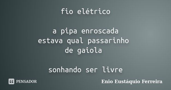 fio elétrico a pipa enroscada estava qual passarinho de gaiola sonhando ser livre... Frase de Enio Eustáquio Ferreira.