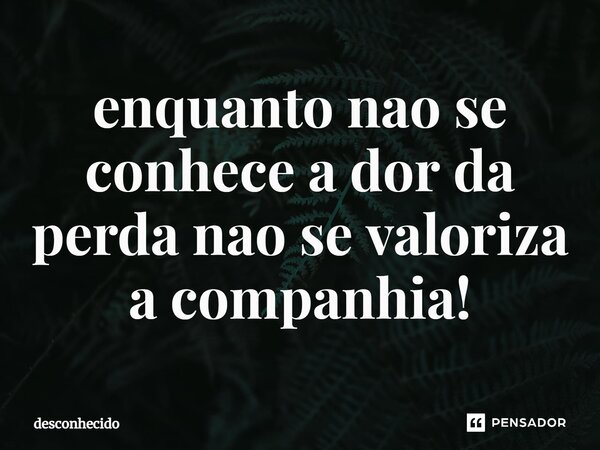 ⁠enquanto nao se conhece a dor da perda nao se valoriza a companhia!