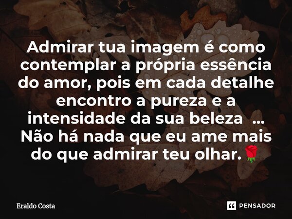 ⁠Admirar tua imagem é como contemplar a própria essência do amor, pois em cada detalhe encontro a pureza e a intensidade da sua beleza ... Não há nada que eu am... Frase de Eraldo Costa.