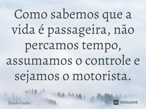 ⁠Como sabemos que a vida é passageira, não percamos tempo, assumamos o controle e sejamos o motorista.... Frase de Eraldo Cunha.