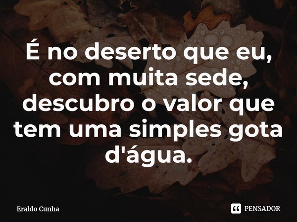 ⁠⁠⁠É no deserto que eu, com muita sede, descubro o valor que tem uma simples gota d'água.... Frase de Eraldo Cunha.