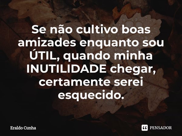 ⁠Se não cultivo boas amizades enquanto sou ÚTIL, quando minha INUTILIDADE chegar, certamente serei esquecido.... Frase de Eraldo Cunha.