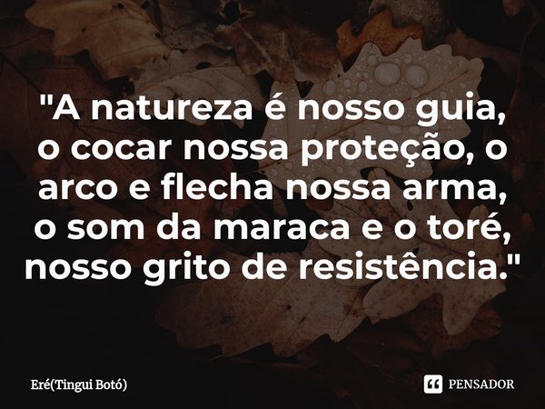 ⁠"A natureza é nosso guia, o cocar nossa proteção, o arco e flecha nossa arma, o som da maraca e o toré, nosso grito de resistência."... Frase de Eré(Tingui Botó).
