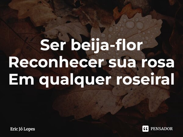 ⁠Ser beija-flor Reconhecer sua rosa Em qualquer roseiral... Frase de Eric Jó Lopes.