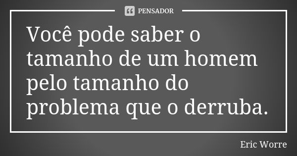 Você pode saber o tamanho de um homem pelo tamanho do problema que o derruba.... Frase de Eric Worre.