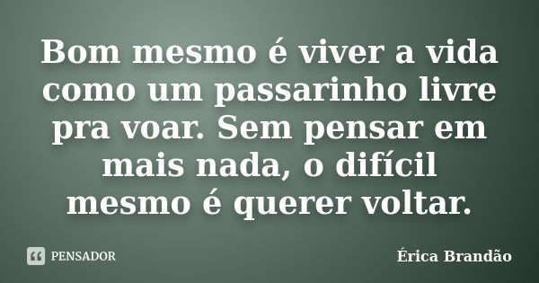 Bom mesmo é viver a vida como um passarinho livre pra voar. Sem pensar em mais nada, o difícil mesmo é querer voltar.... Frase de Érica Brandão.