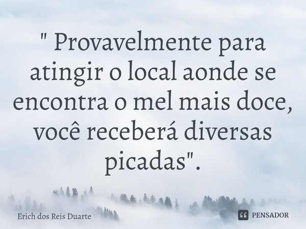 ⁠" Provavelmente para atingir o local aonde se encontra o mel mais doce, você receberá diversas picadas".... Frase de Erich Dos Reis Duarte.