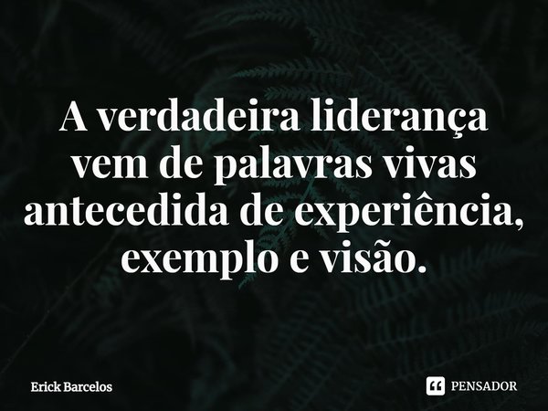 ⁠A verdadeira liderança vem de palavras vivas antecedida de experiência, exemplo e visão.... Frase de Erick Barcelos.