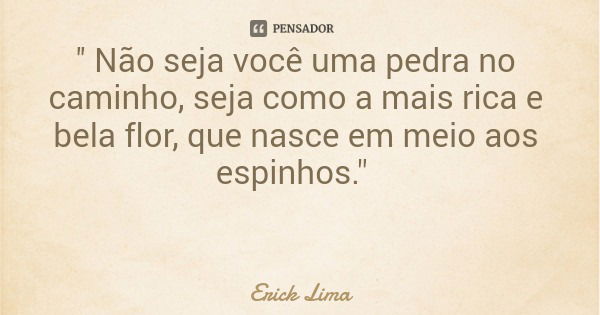 '' Não seja você uma pedra no caminho, seja como a mais rica e bela flor, que nasce em meio aos espinhos."... Frase de Erick Lima.