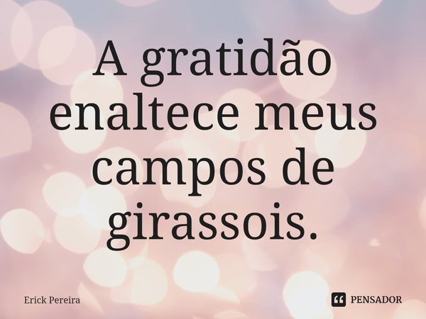 ⁠A gratidão enaltece meus campos de girassois.... Frase de Erick Pereira.