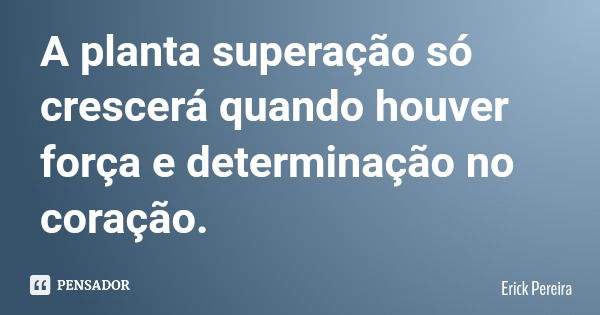 A planta superação só crescerá quando houver força e determinação no coração.... Frase de Erick Pereira.