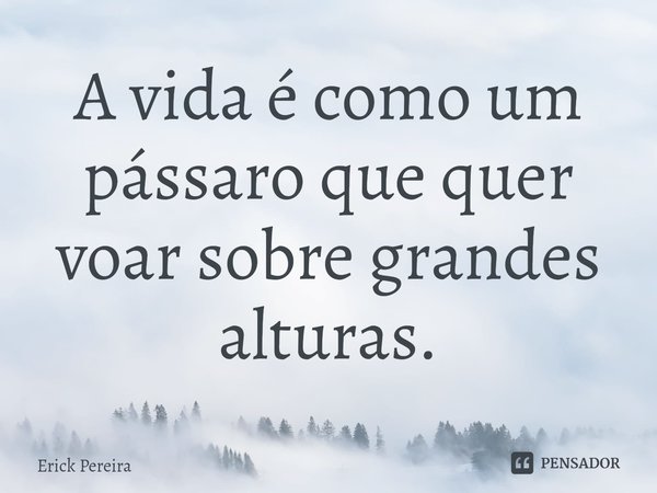 ⁠A vida é como um pássaro que quer voar sobre grandes alturas.... Frase de Erick Pereira.