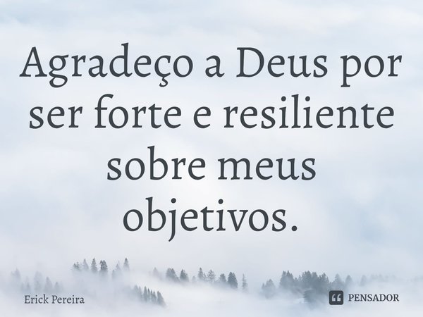 ⁠Agradeço a Deus por ser forte e resiliente sobre meus objetivos.... Frase de Erick Pereira.