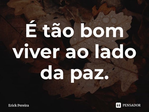 ⁠É tão bom viver ao lado da paz.... Frase de Erick Pereira.