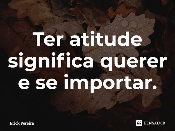 ⁠Ter atitude significa querer e se importar.... Frase de Erick Pereira.