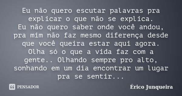 Eu não quero escutar palavras pra explicar o que não se explica. Eu não quero saber onde você andou, pra mim não faz mesmo diferença desde que você queira estar... Frase de Érico Junqueira.