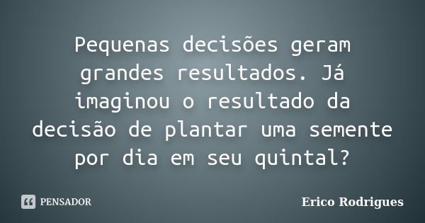 Pequenas decisões geram grandes resultados. Já imaginou o resultado da decisão de plantar uma semente por dia em seu quintal?... Frase de Érico Rodrigues.