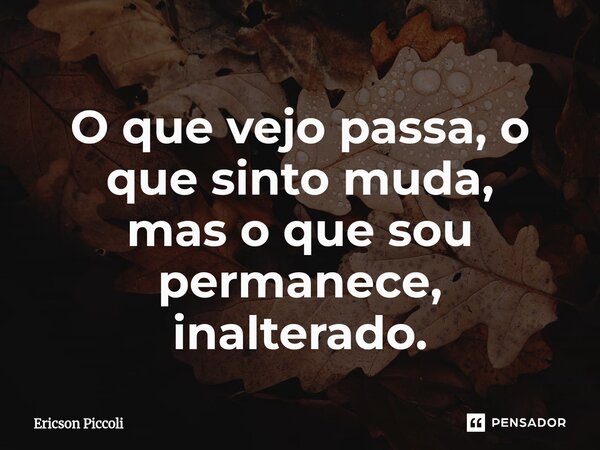 ⁠O que vejo passa, o que sinto muda, mas o que sou permanece, inalterado.... Frase de Ericson Piccoli.