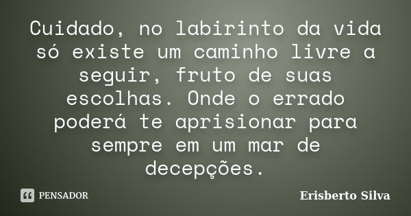 Cuidado, no labirinto da vida só existe um caminho livre a seguir, fruto de suas escolhas. Onde o errado poderá te aprisionar para sempre em um mar de decepções... Frase de Erisberto Silva.