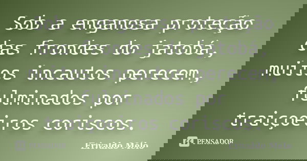 Sob a enganosa proteção das frondes do jatobá, muitos incautos perecem, fulminados por traiçoeiros coriscos.... Frase de Erivaldo Mélo.