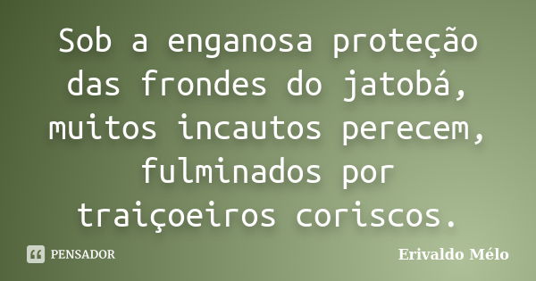 Sob a enganosa proteção das frondes do jatobá, muitos incautos perecem, fulminados por traiçoeiros coriscos.... Frase de Erivaldo Mélo.