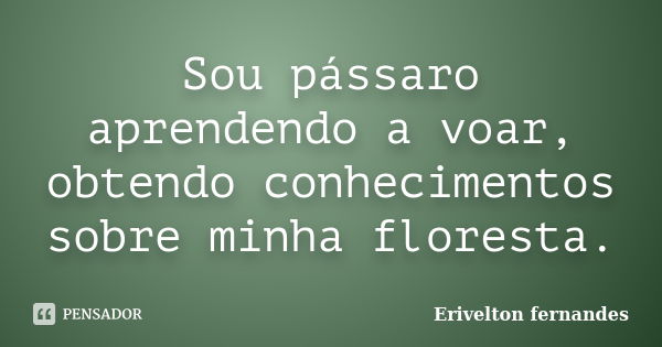 Sou pássaro aprendendo a voar, obtendo conhecimentos sobre minha floresta.... Frase de Erivelton fernandes.