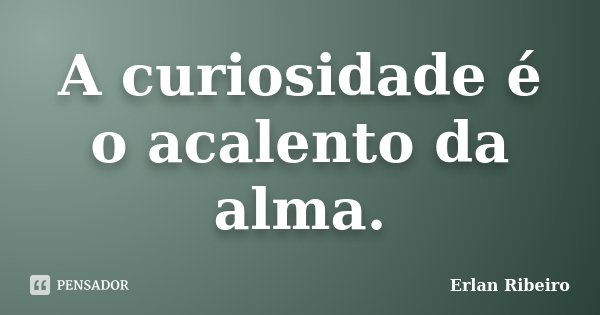 A curiosidade é o acalento da alma.... Frase de Erlan Ribeiro.
