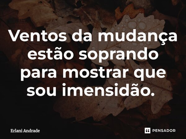 Ventos da mudança estão soprando para mostrar que sou imensidão. ⁠... Frase de Erlani Andrade.