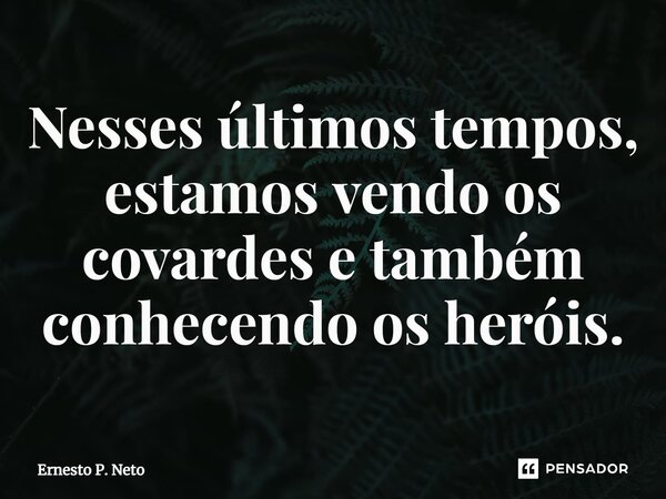 ⁠Nesses últimos tempos, estamos vendo os covardes e também conhecendo os heróis.... Frase de Ernesto P. Neto.