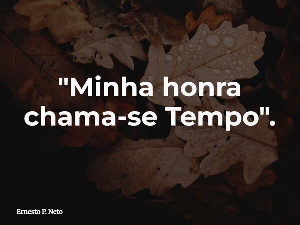 "Minha honra chama-se Tempo".... Frase de Ernesto P. Neto.