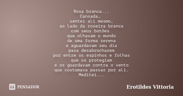 Rosa branca... Cansada, sentei ali mesmo, ao lado da roseira branca com seus botões que olhavam o mundo de uma forma serena e aguardavam seu dia para desabrocha... Frase de erotildes vittoria.