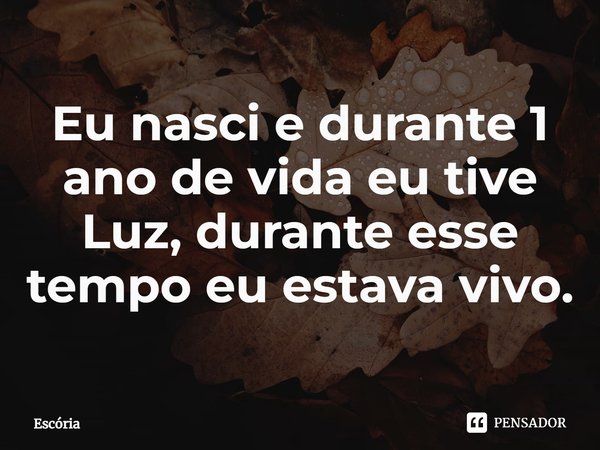 ⁠Eu nasci e durante 1 ano de vida eu tive Luz, durante esse tempo eu estava vivo.... Frase de Escória.