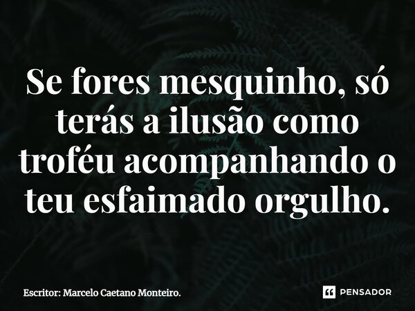 Se fores mesquinho, só terás a ilusão como troféu acompanhando o teu esfaimado orgulho.... Frase de Escritor: Marcelo Caetano Monteiro..