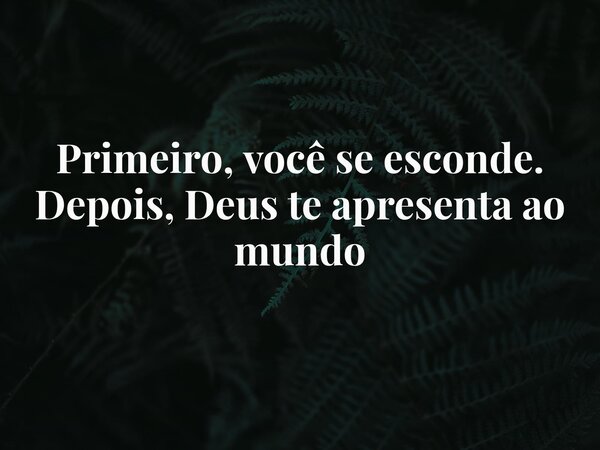 Primeiro, você se esconde. Depois, Deus te apresenta ao mundo... Frase de Escritor Ubirajara Almeida.