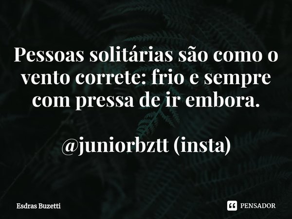 Pessoas solitárias ⁠são como o vento corrente: frio e sempre com pressa de ir embora. @juniorbztt (insta)... Frase de Esdras Buzetti.