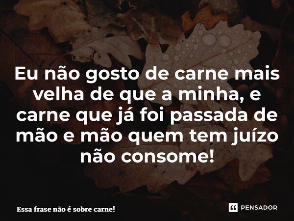 Eu não gosto de carne mais velha de que a minha, e carne que já foi passada de mão e mão quem tem juízo não consome!... Frase de Essa frase não é sobre carne!.