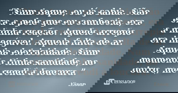 “Num toque, eu já sabia. Não era a pele que eu conhecia, era a minha reação. Aquele arrepio era inegável. Aquela falta de ar. Aquela eletricidade. Num momento t... Frase de Esson.