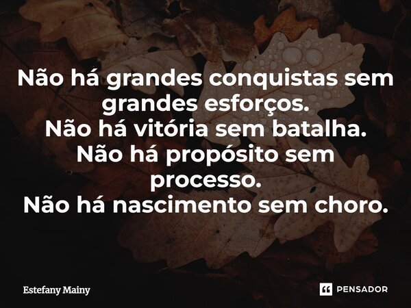 ⁠Não há grandes conquistas sem grandes esforços. Não há vitória sem batalha. Não há propósito sem processo. Não há nascimento sem choro.... Frase de Estefany Mainy.