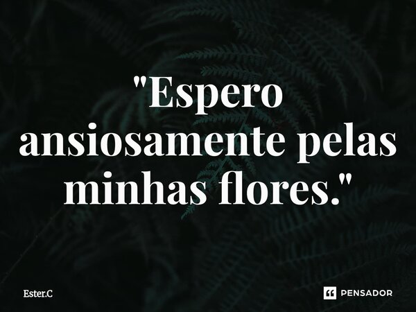 "Espero ansiosamente pelas minhas flores."⁠... Frase de Ester.C.