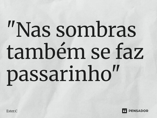 ⁠"Nas sombras também se faz passarinho"... Frase de Ester.C.