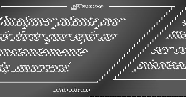 Qualquer planta por mais forte que seja ao ser constantemente pisoteada, morrerá.... Frase de Ester Correia.